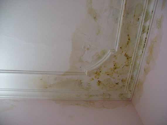 Nguyên nhân và cách khắc phục trần thạch cao bị thấm nước
